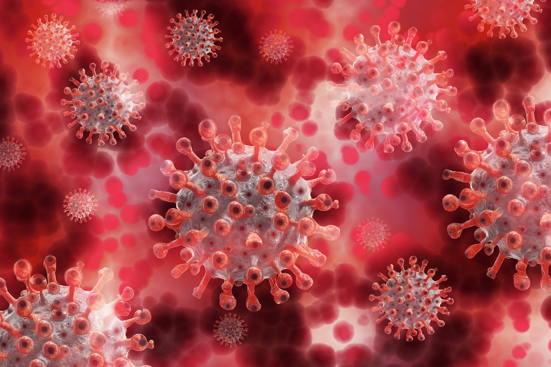 Leben mit dem Coronavirus
